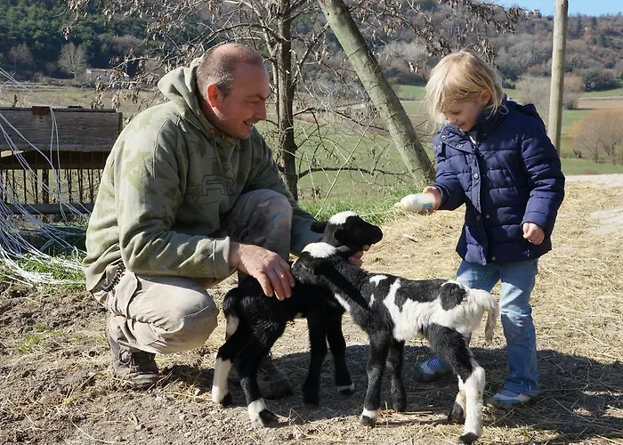 Domaine Du Bas Chalus