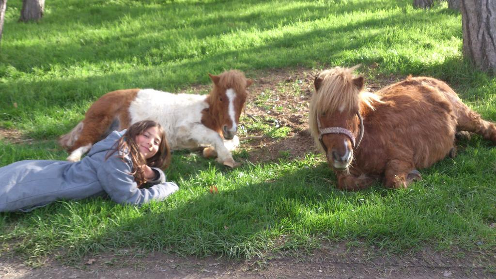 Domaine Du Bas Chalus Farm stay