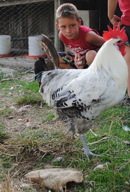 Domaine Du Bas Chalus Farm stay *