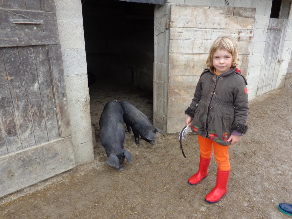 Farm stay Domaine Du Bas Chalus