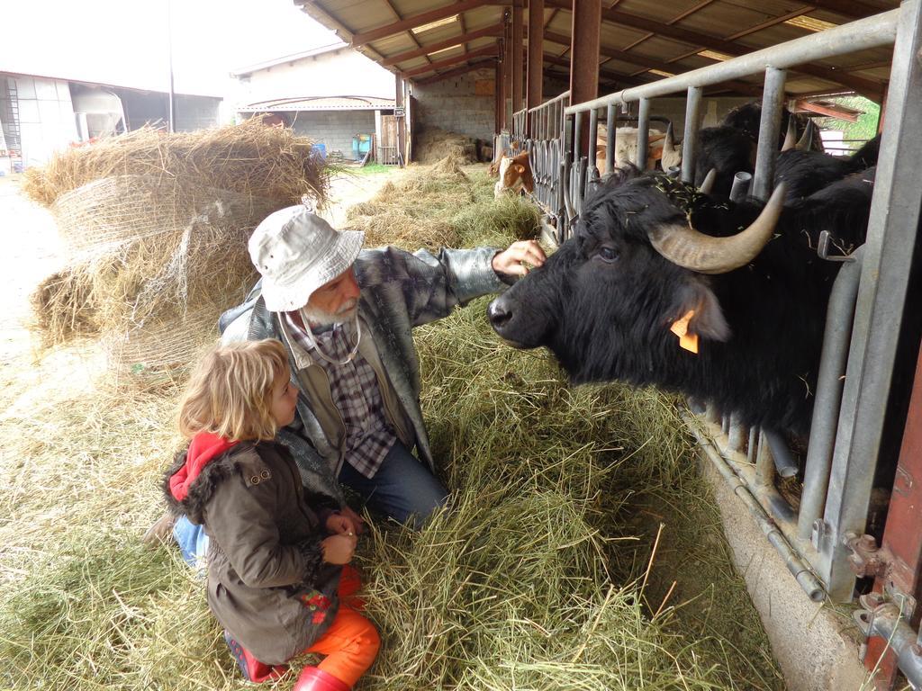 Domaine Du Bas Chalus Farm stay Forcalquier