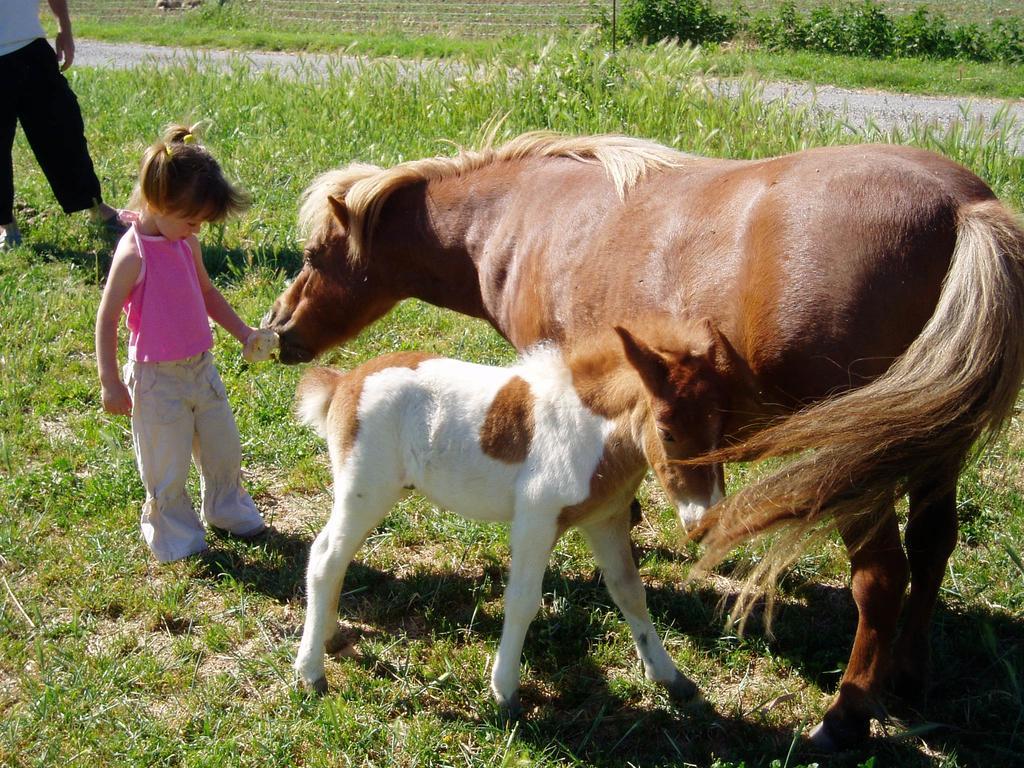 Domaine Du Bas Chalus Farm stay