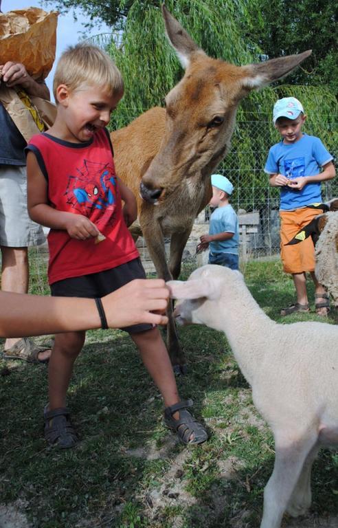 Domaine Du Bas Chalus Farm stay