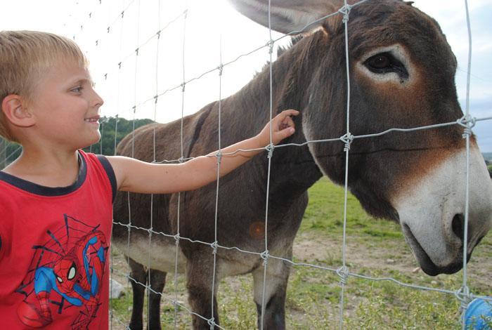Farm stay Domaine Du Bas Chalus *